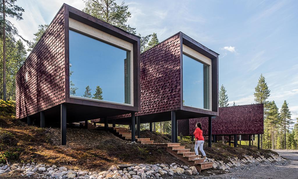 Arctic Treehouse Hotel Ροβανιέμι Εξωτερικό φωτογραφία