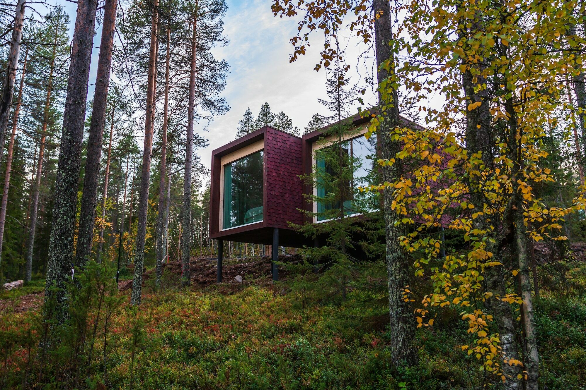 Arctic Treehouse Hotel Ροβανιέμι Εξωτερικό φωτογραφία
